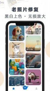 1684552363100401.jpg 1684552363100401.jpg