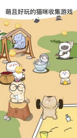 萌布猫咪.jpg 萌布猫咪.jpg