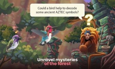 小鸟世界.jpg 小鸟世界.jpg