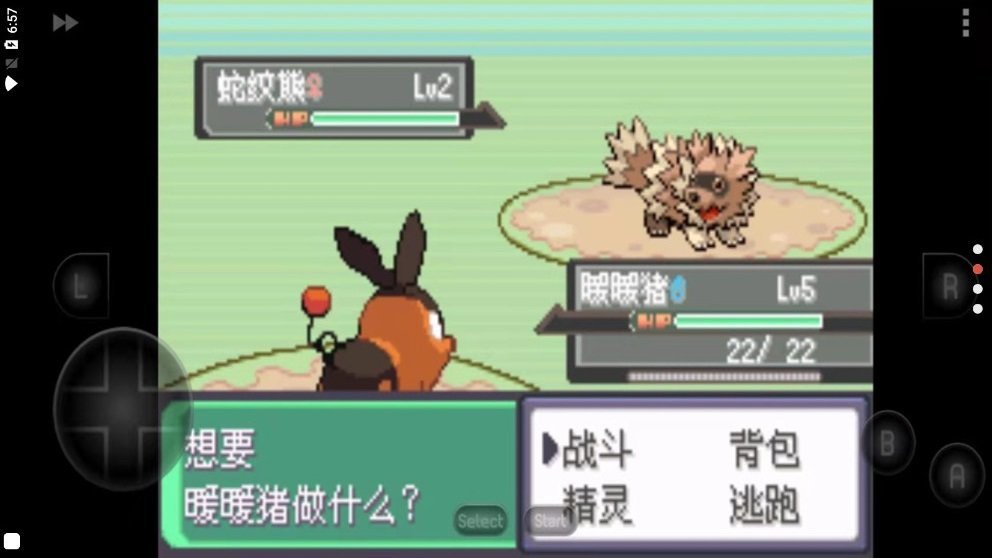 口袋妖怪心金 口袋妖怪心金