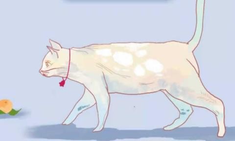 逃跑的猫.jpg 逃跑的猫.jpg