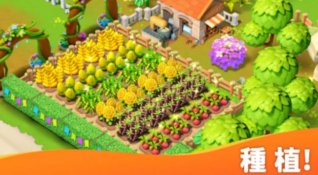 岛屿农场大冒险.jpg