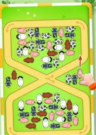 救救这只猪免广告