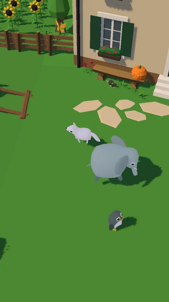 宠物寻食记 宠物寻食记