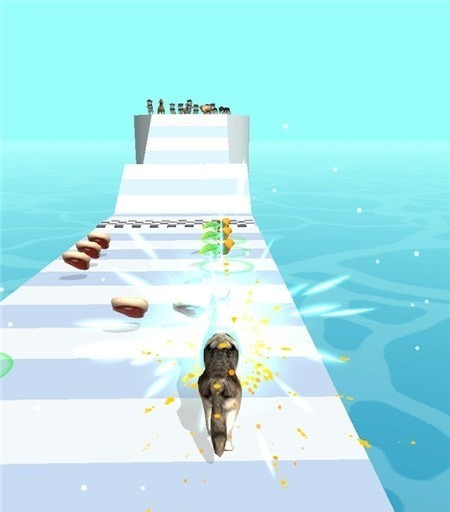 宠物赛跑3D 宠物赛跑3D