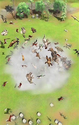 动物搏斗全部动物版