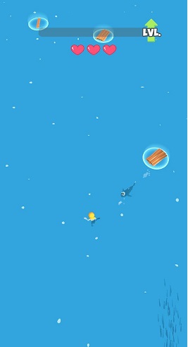 鲨鱼游泳 鲨鱼游泳