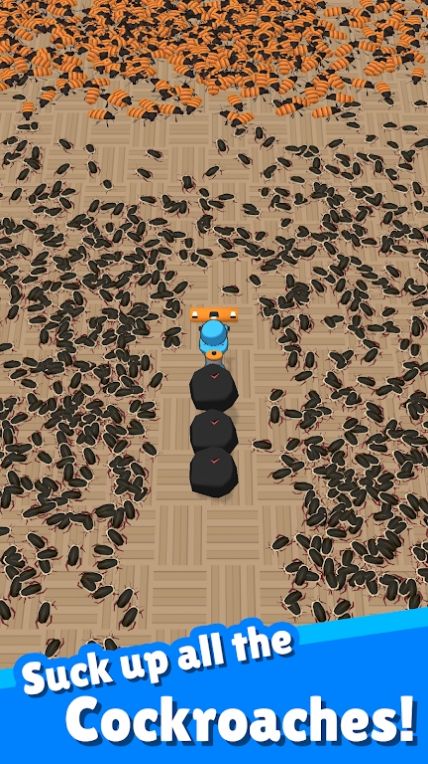 蟑螂清洁 蟑螂清洁