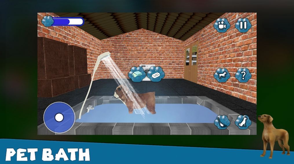 狗狗救援收容所 狗狗救援收容所