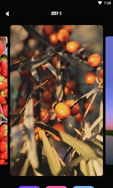 91主题壁纸.jpg 91主题壁纸.jpg