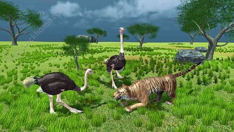 终极鸵鸟模拟器单机版