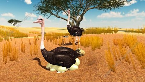 终极鸵鸟模拟器单机版