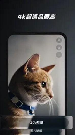 余香壁纸.jpg 余香壁纸.jpg