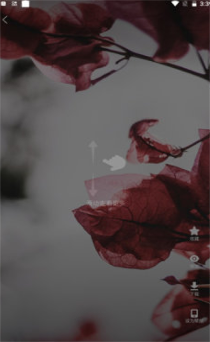 超萌鸭手账.png 超萌鸭手账.png