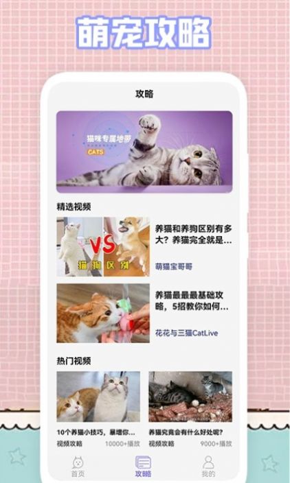 我的猫咪壁纸.jpg 我的猫咪壁纸.jpg