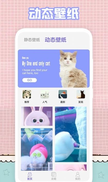我的猫咪壁纸.jpg 我的猫咪壁纸.jpg