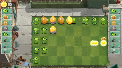 植物大战僵尸双人版