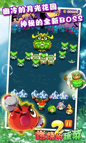 燃烧的蔬菜2经典版 燃烧的蔬菜2经典版