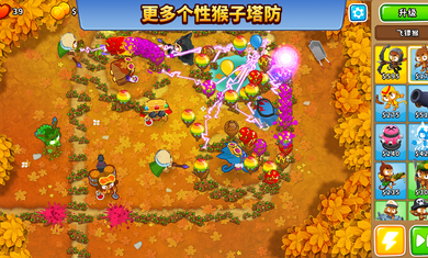 猴子塔防6国际服.png