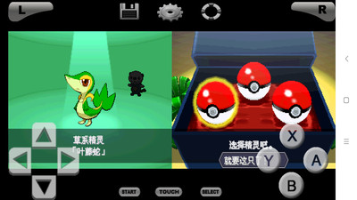 口袋妖怪黑白汉化版 口袋妖怪黑白汉化版