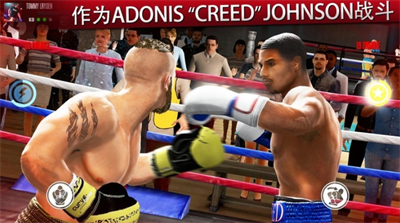 真实拳击无限金币