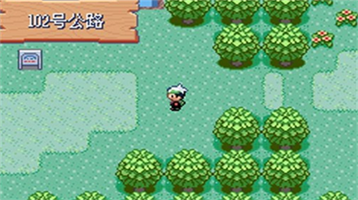 精灵宝可梦究极绿宝石4小智版.png 精灵宝可梦究极绿宝石4小智版.png