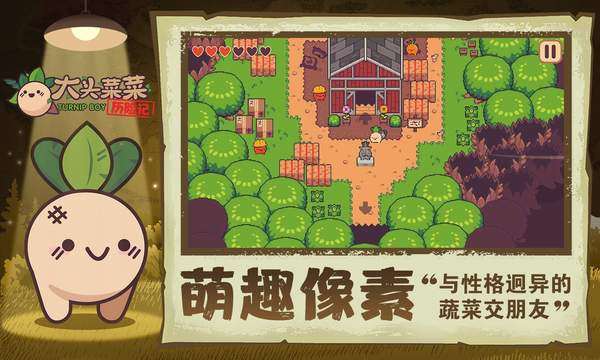 大头菜菜历险记正版