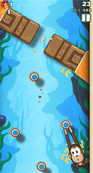 弹射金刚无限金币版