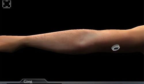 回声迷踪汉化版