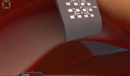 回声迷踪汉化版