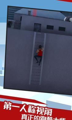 镜之边缘中文版