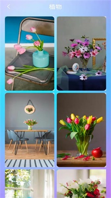 桌面壁纸秀.jpg 桌面壁纸秀.jpg