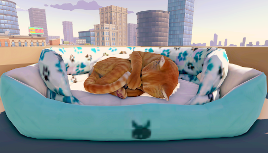 猫咪历险记大都市 猫咪历险记大都市