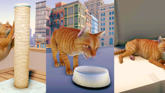 猫咪历险记大都市 猫咪历险记大都市