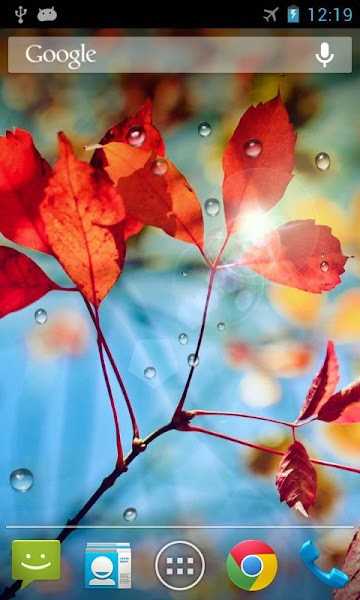 雨滴动态壁纸.jpg 雨滴动态壁纸.jpg