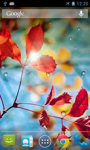 雨滴动态壁纸.jpg 雨滴动态壁纸.jpg