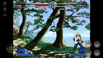 月华剑士安卓豪华版