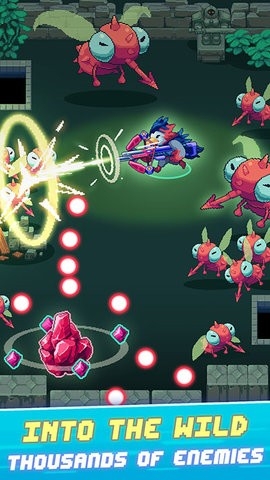 狂野枪手中文版