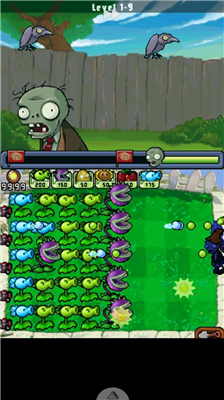 植物大战僵尸Ds版.png