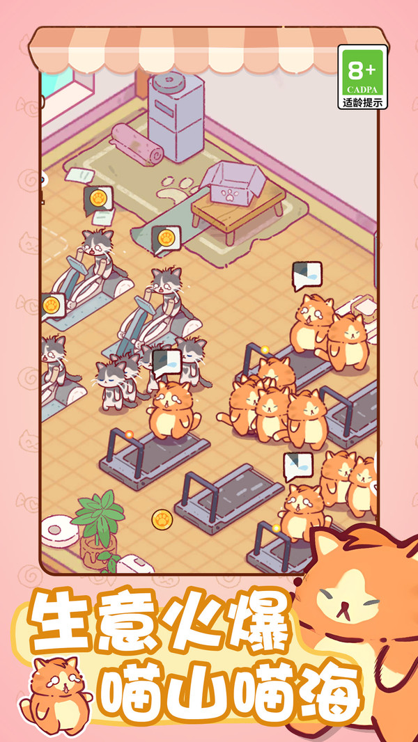 喵桑向前进 喵桑向前进