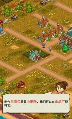 蒸汽小镇农场与战斗无限钻石