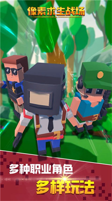 像素求生战场无限金币