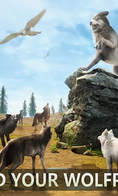 狼族崛起国际服.jpg 狼族崛起国际服.jpg