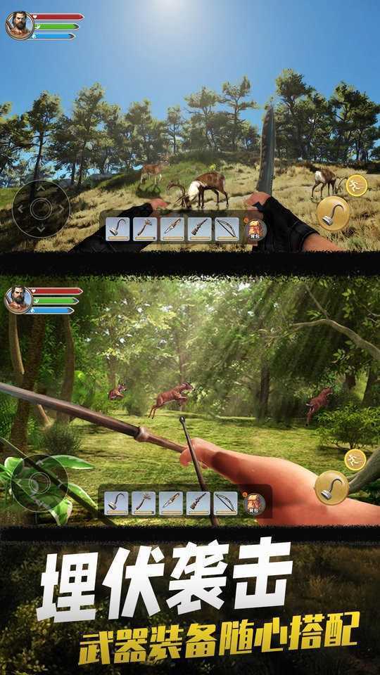 海岛生存2免广告版 海岛生存2免广告版