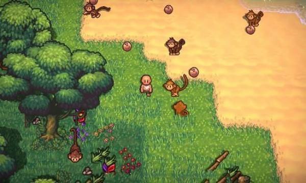 岛屿幸存者中文版