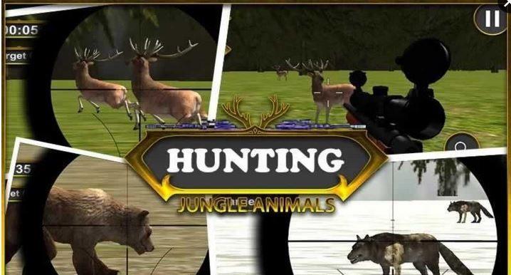 狩猎丛林动物中文版