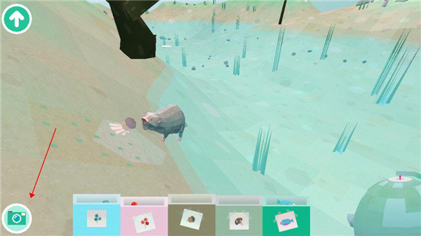 托卡大自然中文版 托卡大自然中文版