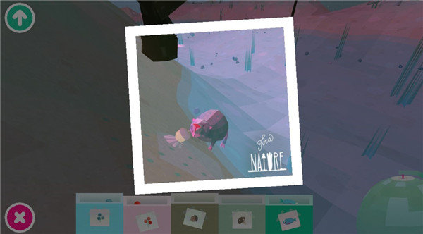 托卡大自然中文版 托卡大自然中文版