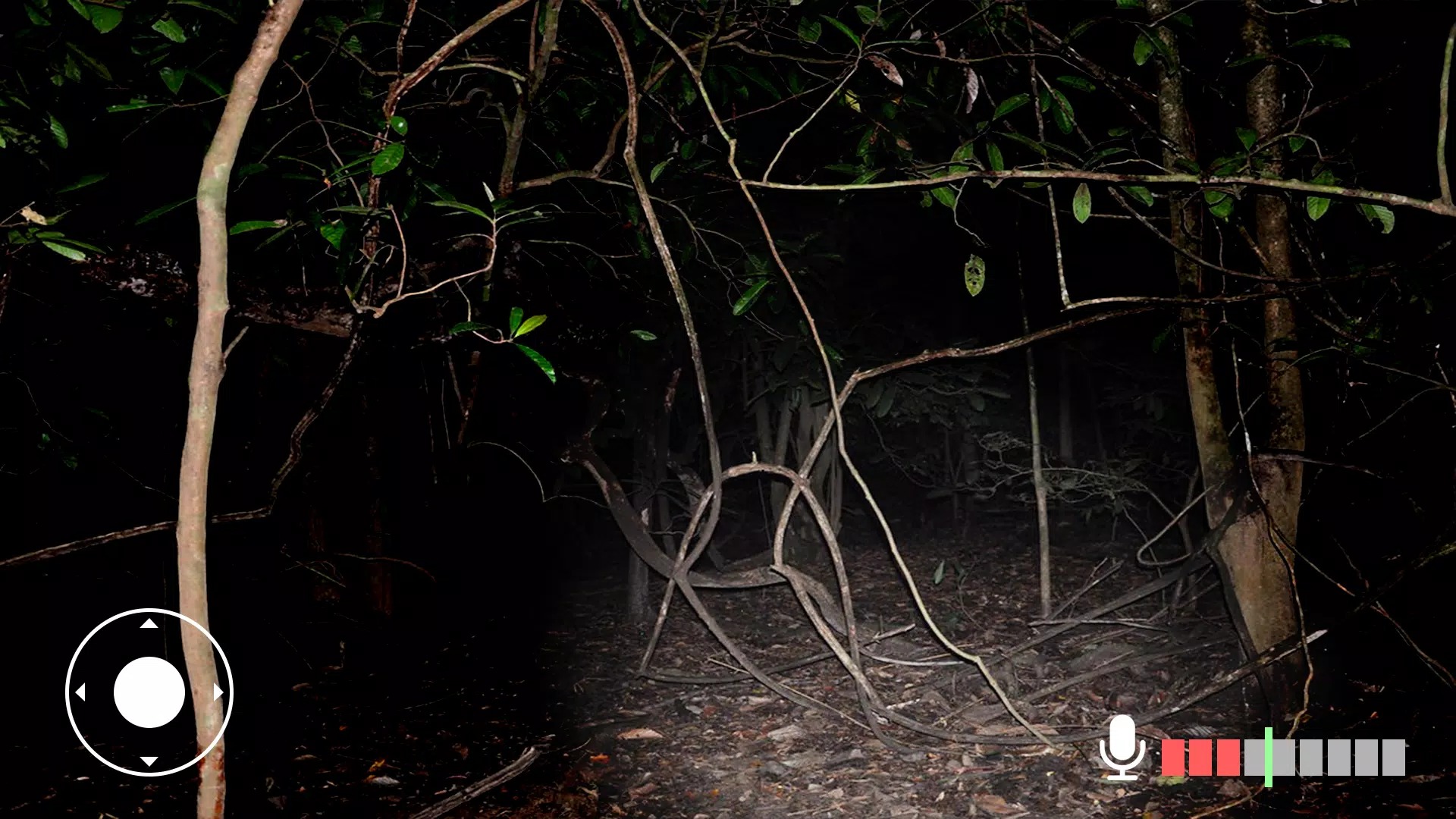 永远不要尖叫 永远不要尖叫