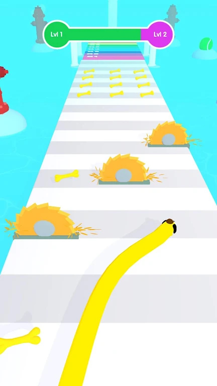 长狗狗奔跑挑战 长狗狗奔跑挑战